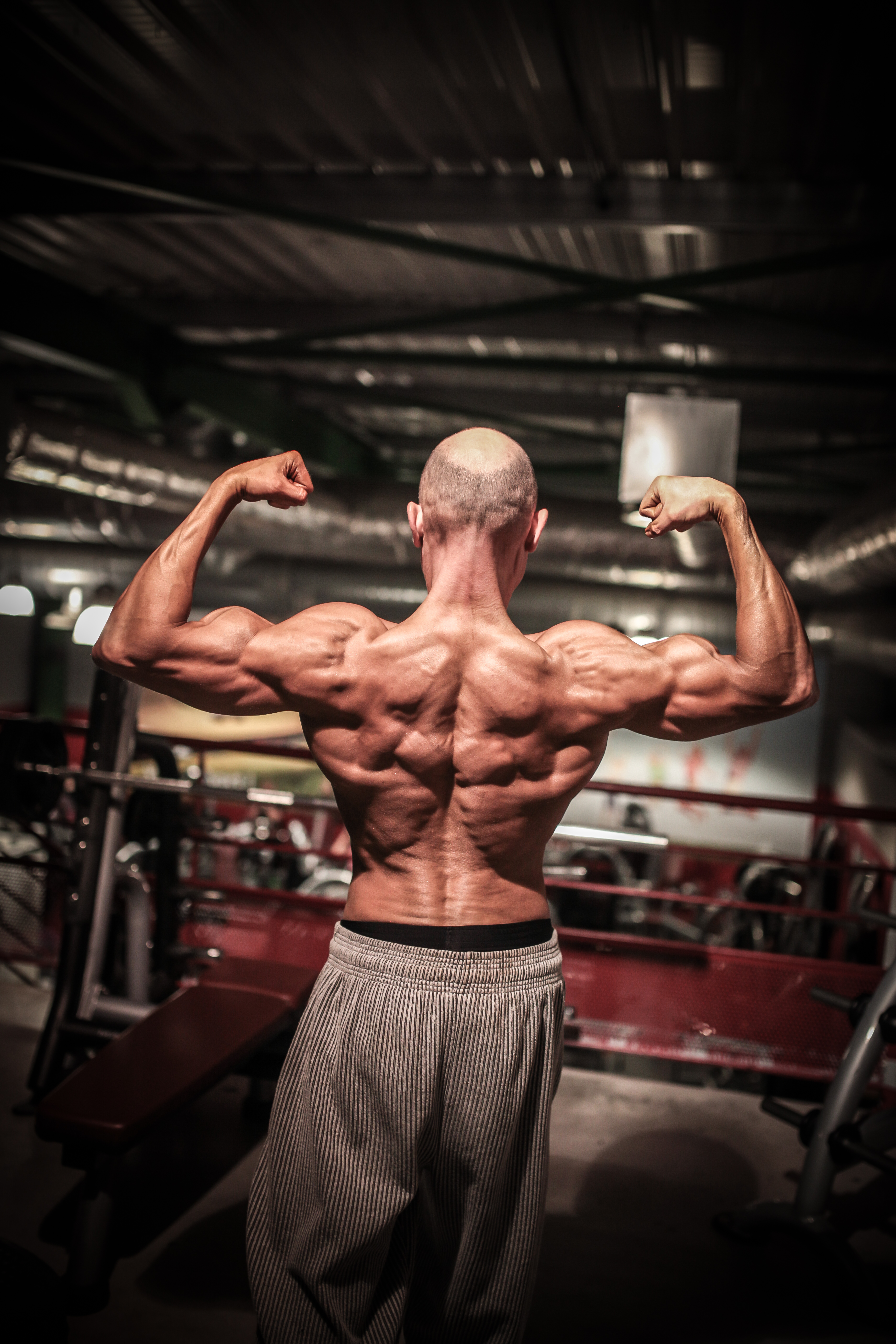 Double biceps de dos